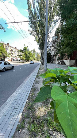 Продам 1 комн кв в Лесках,под ремонт,можно под коммерцию Миколаїв - зображення 5