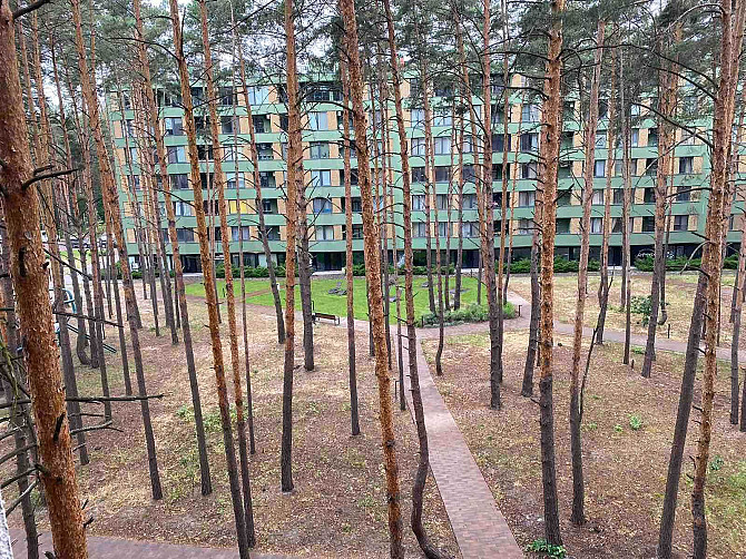 Відмінне планування двокімнатної квартири в лісовій частині Буча - зображення 1