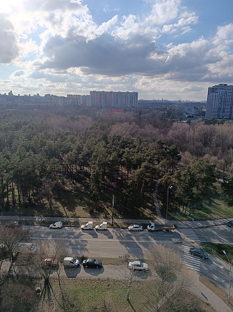 Однокімнатна квартира. Дніпровський район. До метро 10-15хв. Гребінка (Полтавська обл.) - зображення 2