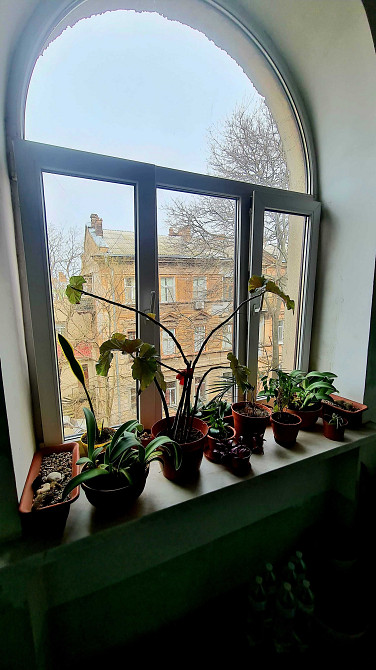 3 комнатная сталинка на Пастера, уникальное предложение Одесса - изображение 6