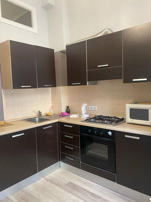 Центр , оренда , вул . Антоновича 39 , однокімнатна квартира Київ - зображення 2