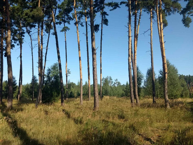 земельна ділянка під будівництво в с. Дернівка площею 0,5000 га Baryshivka - photo 3