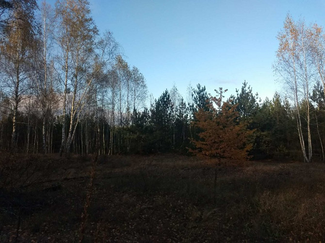 Земельна ділянка під садівництво та будівництво в с. Дружня площею 0,1200 га Бородянка - изображение 8