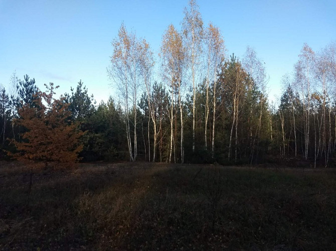 Земельна ділянка під садівництво та будівництво в с. Дружня площею 0,1200 га Бородянка - изображение 7