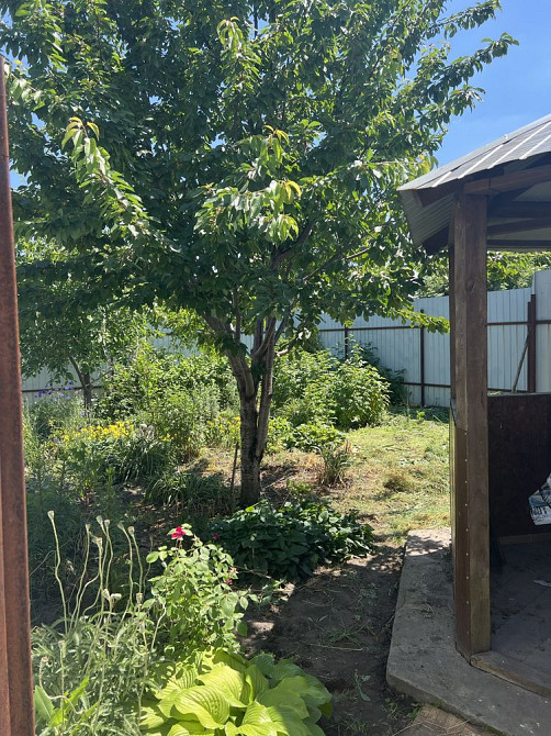 Здам двохкімнатну квартиру Кагарлик Кагарлик - зображення 6