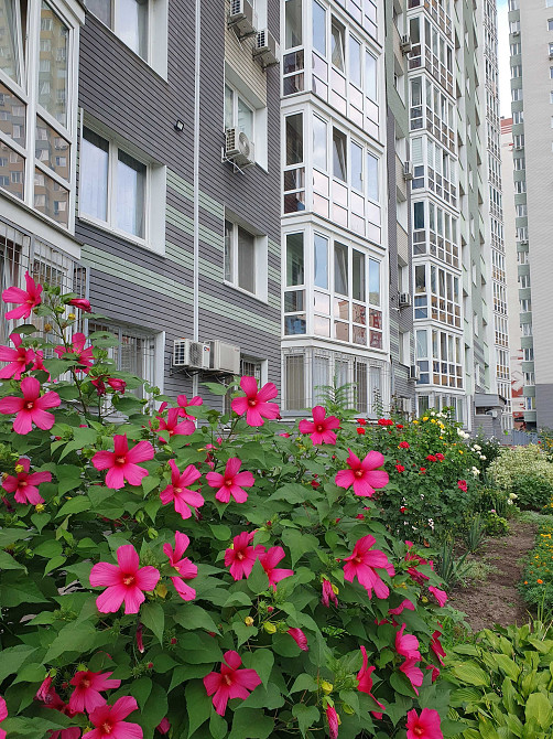 вул. Софії Русової 7. Біля метро Позняки, Осокорки. Без комісії Киев - изображение 2