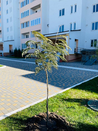 Квартира в новом кирпичном доме Хлібодарське - зображення 1