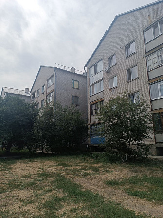 Продам 1к кв Голубівка, Новомосковський р-н Holubivka - photo 1