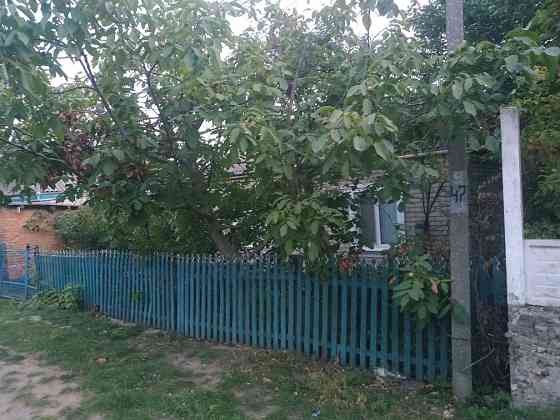 Здам в долгосрочную оренду Любашівка