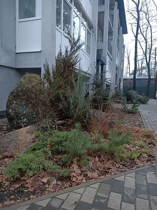 Оренда 2х кім кв в Ірпені! Вул. Полтавська!! Ирпень - изображение 1