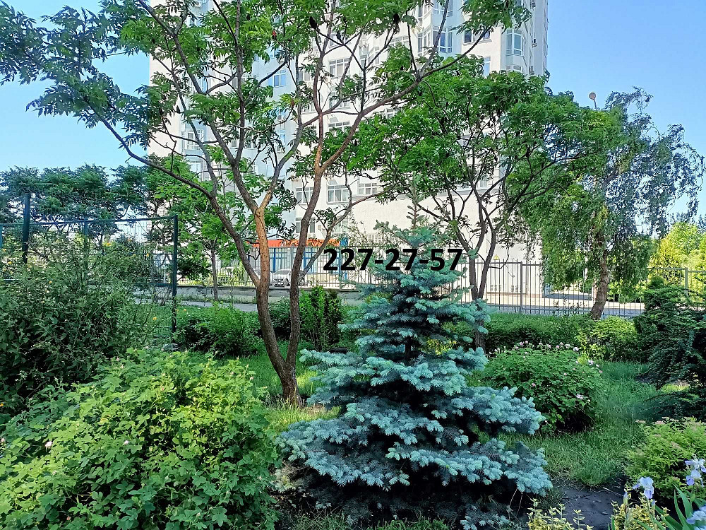 Видовая 1 к. кв. 50 м2, пр. Бажана 8Б метро Осокорки, ГЕНЕРАТОР Киев - изображение 8