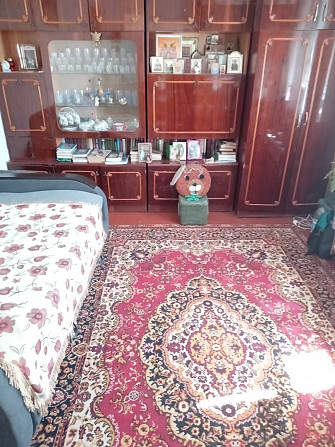 Продам 2х 54м   в Полтавской   области Nekhvoroshcha - photo 7