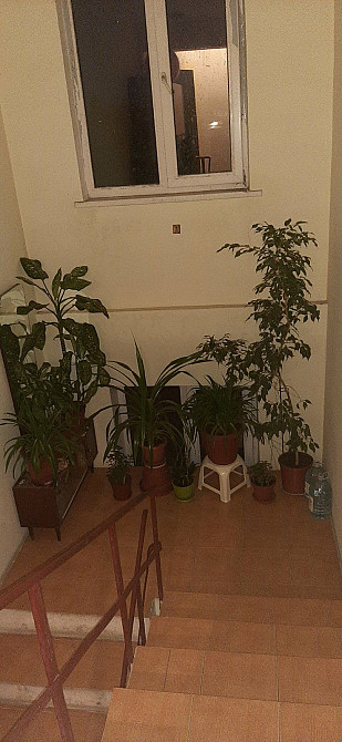 Долгосрочная аренда однокомнатной квартиры в Одессе Есть место авто Одеса - зображення 8