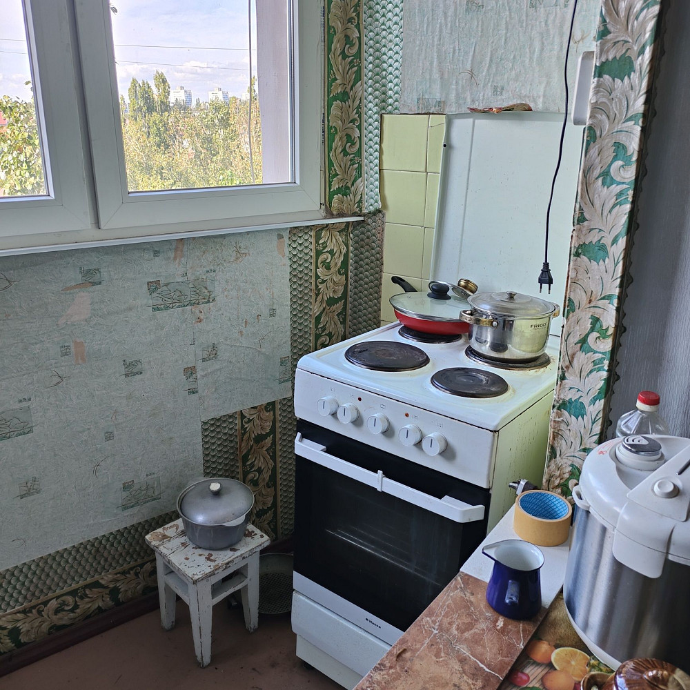 1к Князя Владимира (Добровольского)/Южная дорога Крижанівка - зображення 8