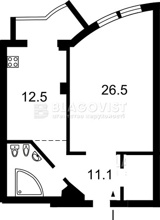 Аренда Дружбы Народов 14-16, 1-к, 56кв.м. Печерск Киев - изображение 2