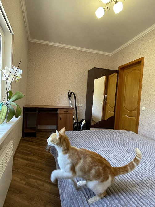 Сдам квартиру Білгород-Дністровський - зображення 7