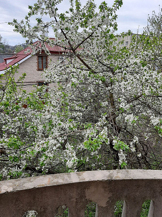 Продається 1 кім.квартира в особняку Chernivtsi - photo 7