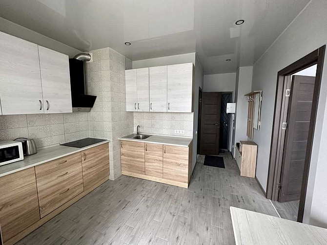 1-комнатная квартира, 38 м² на Минина Dnipro - photo 1