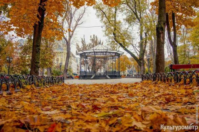 Размер и место имеют значение-Центровее не бывает-Горсад/Дерибасовская Odesa - photo 5