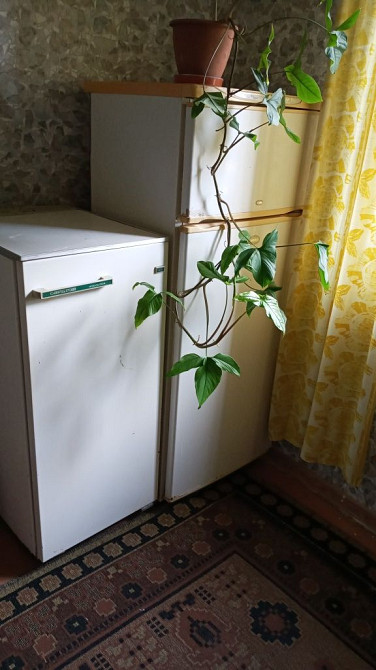 Здаю 1ккв р-н Намив Миколаїв - зображення 3