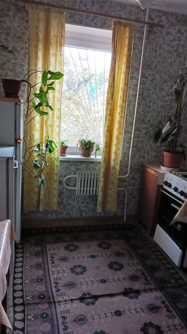 Здаю 1ккв р-н Намив Миколаїв - зображення 5