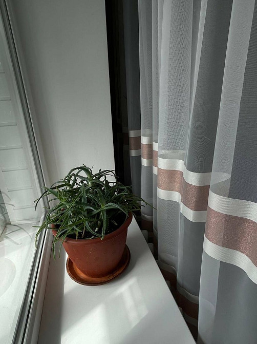 Здається в оренду однокімнатна квартира. Сарны - изображение 6