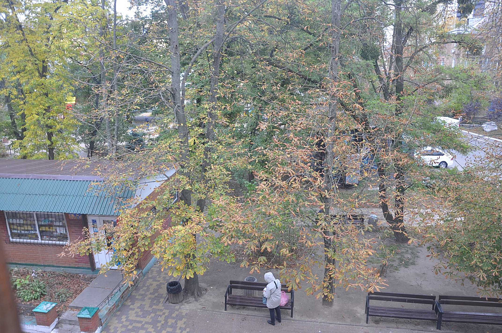 Оренда затишної 1к квартири в центрі Вишгорода Вишгород - зображення 4