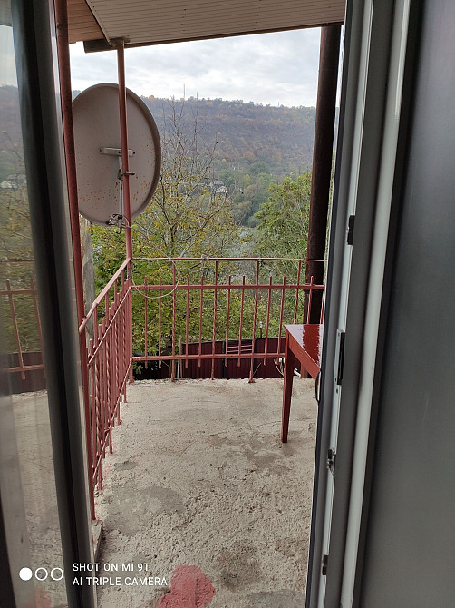 Продається однокімнатна квартира Залещики - изображение 8