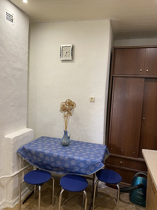 Сдам 1 к кв. Грушевского /Яна Ходорковского Дніпро - зображення 4