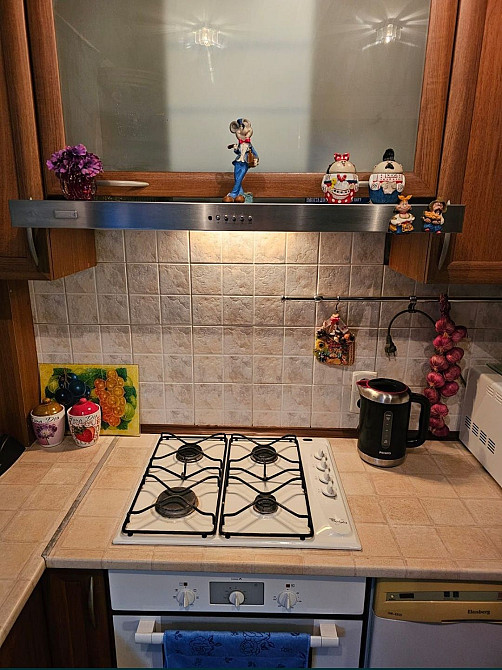 2-х комнатная квартира на ТЕХУЧИЛИЩЕ. Кременчук - зображення 6