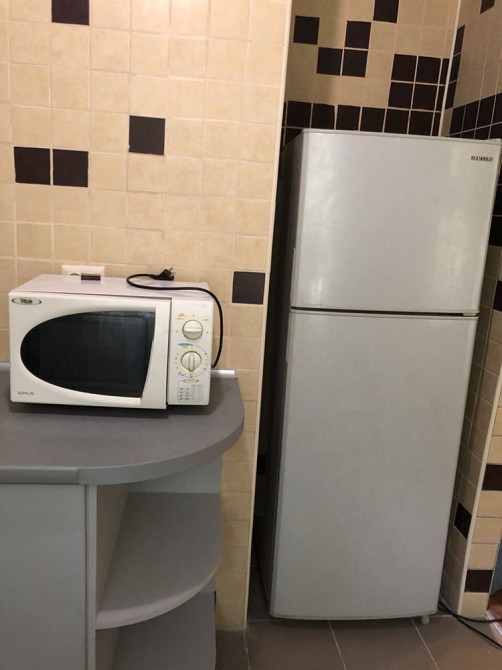 Продам 3- х комнатную квартиру ( пр.Гагарина ) Підгородне (Дніпропетровська обл.) - зображення 5