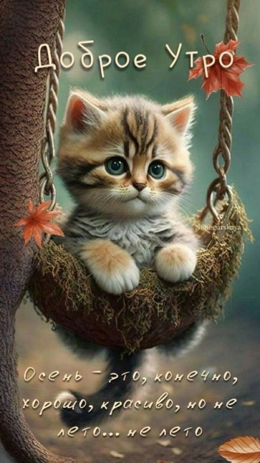 Сдам квартиру в аренду Доброполье - изображение 1