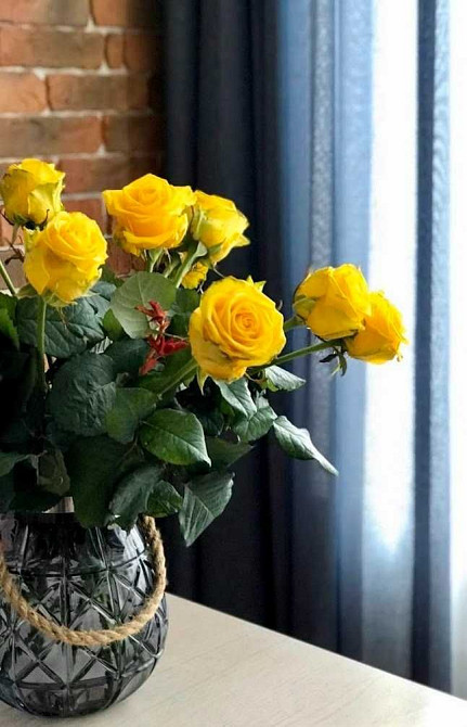 Довгострокова оренда  елітної квартири у центрі міста Тернопіль - зображення 3