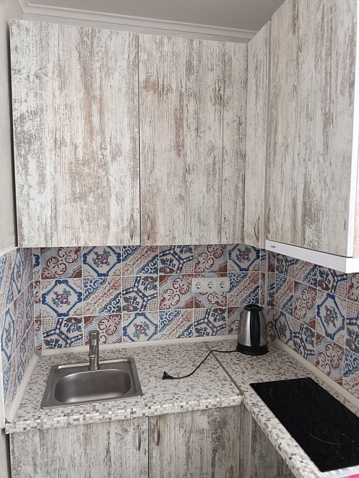 1к квартира в Чабанах, приватний сектор Чабаны - изображение 7