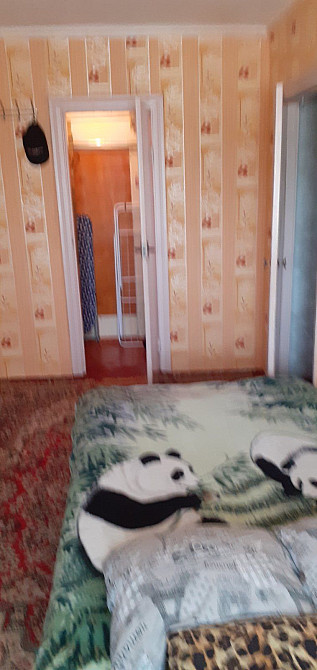 Здам кімнату в центрі Бердичева Бердичів - зображення 5