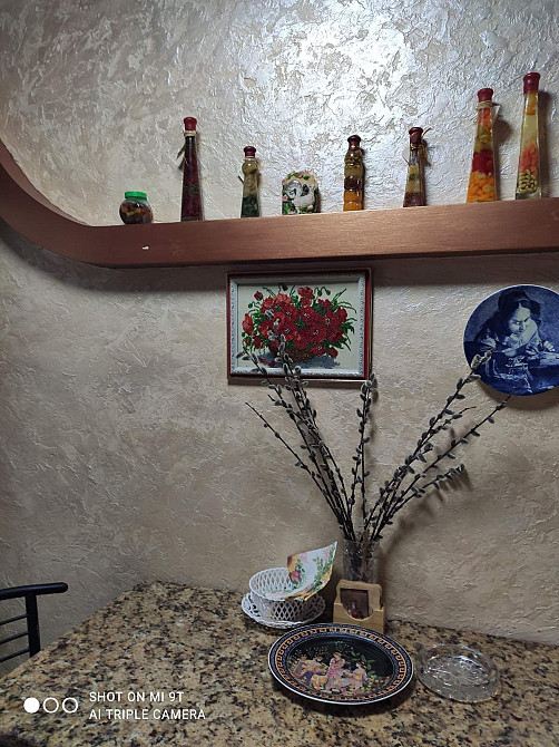 Здам    2 ну. Кв. В центрі міста  з а/о. Бердичів - зображення 4