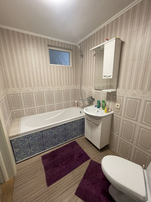 Довготривала оренда 1к центр 54 м Петриківка - зображення 3