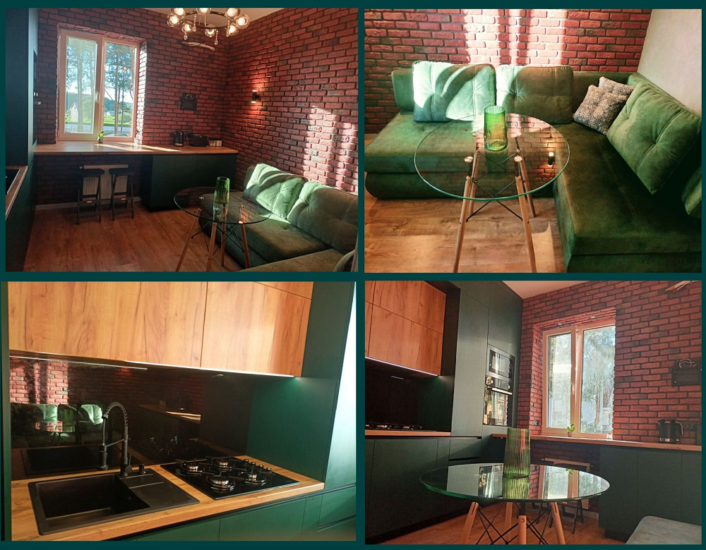 Оренда 1-кімн. квартира Альпійське містечко (Десна Резиденс) Зазимье - изображение 2