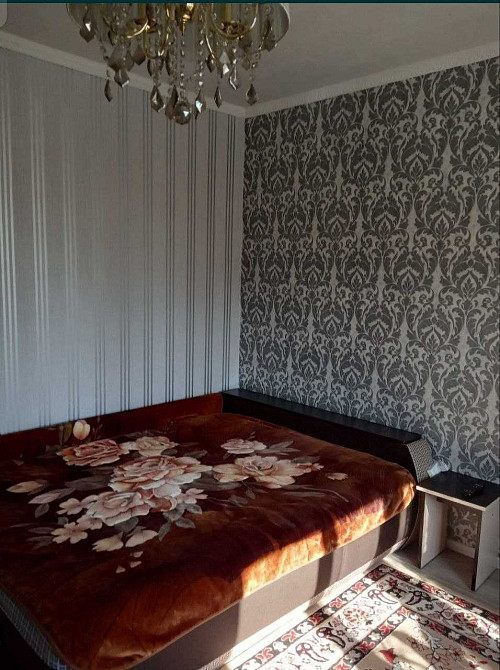 Однокімнатна квартира, індивідуальне газове опалення. Немешаево - изображение 8