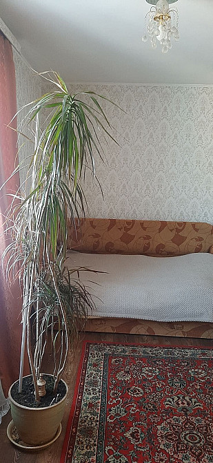 2к. квартира, центр, автономне опалення, ремонт, Шостка Шостка - зображення 7