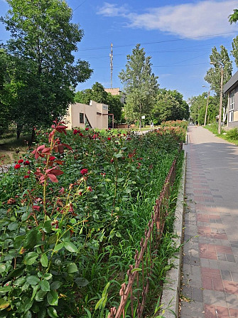 Сдам 3 комн ул.Патриотическая Аллея Роз Запоріжжя - зображення 8