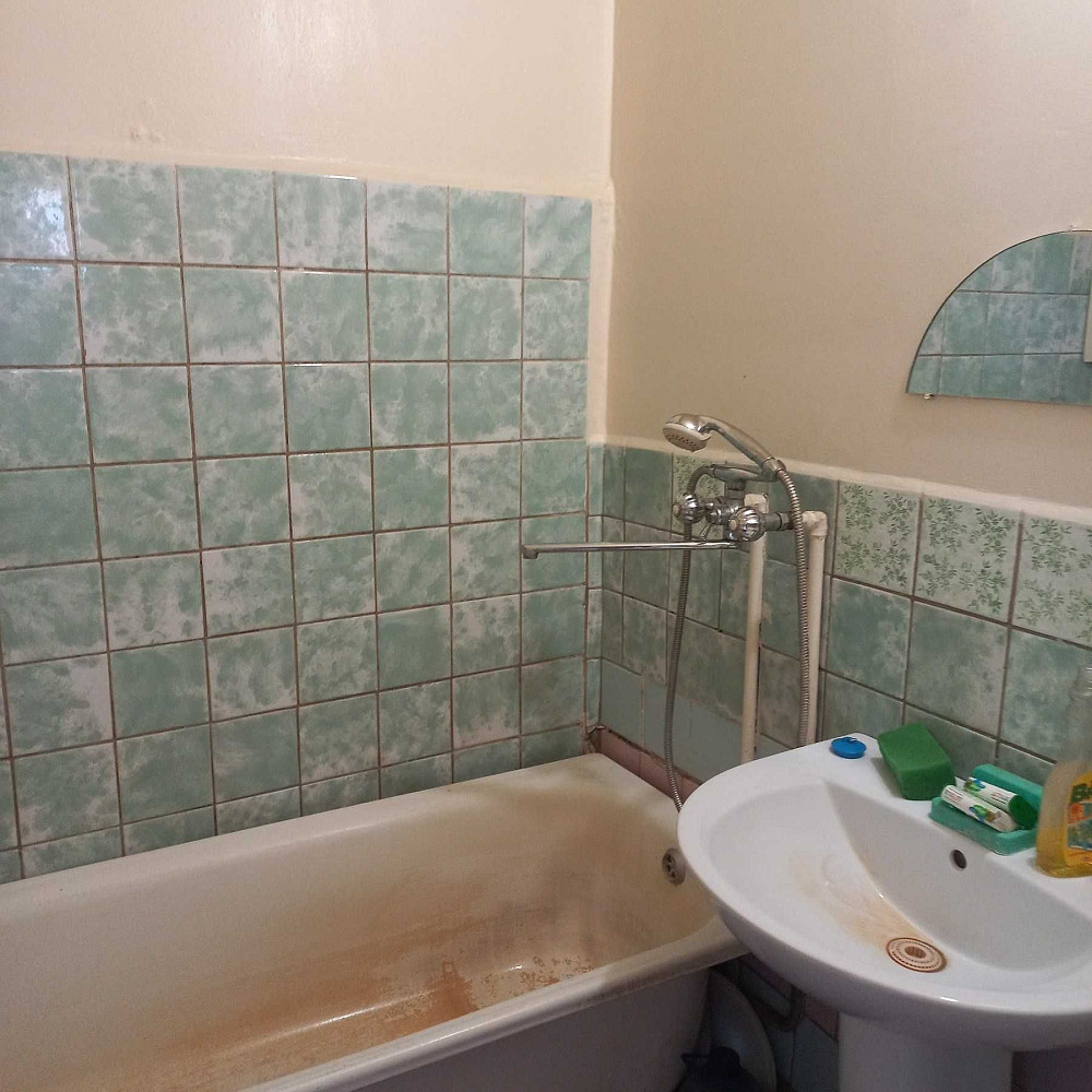 Сдам 2-х комнатн. квартиру. Чешка. Индивид газ отопление. Животное. Меліоративне (Новомосковський р-н) - зображення 8