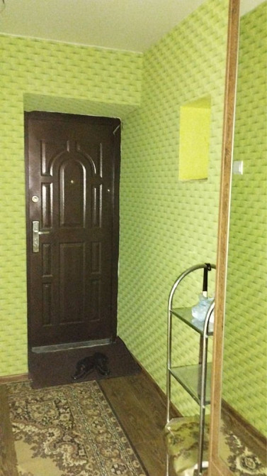 Сдам 2 квартиру Нові Трояни - зображення 3