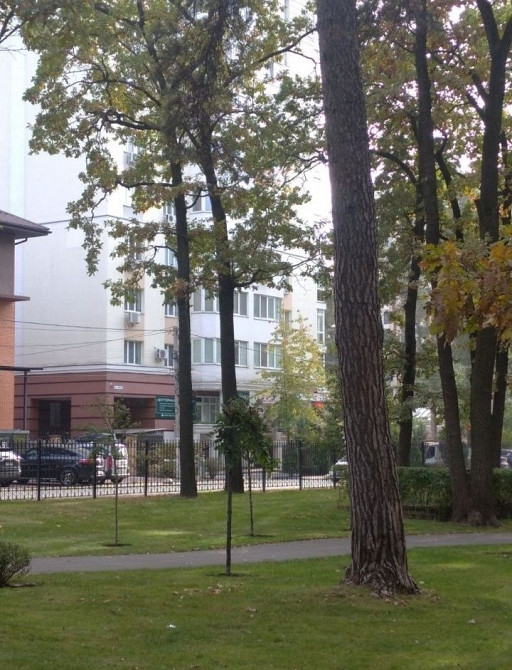 Вільна 2 к.квартира в ЖК Капітал,навпроти парку Дубки Ірпінь - зображення 3