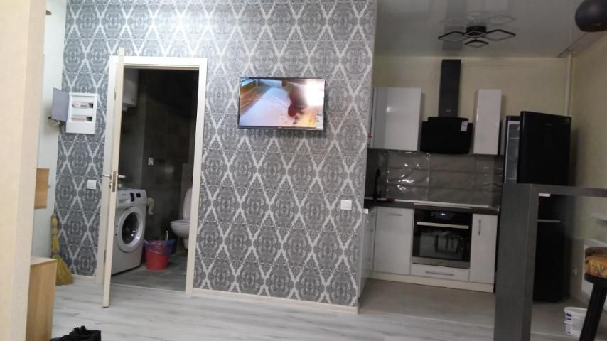 Сдам 1 комн. квартиру ЖК Ньютона, Новые дома Горбани - изображение 6