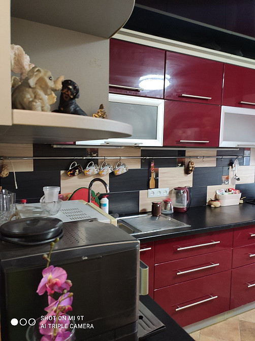 Здам  2 ну.квартиру. в центрі міста з а/о. Бердичів - зображення 1