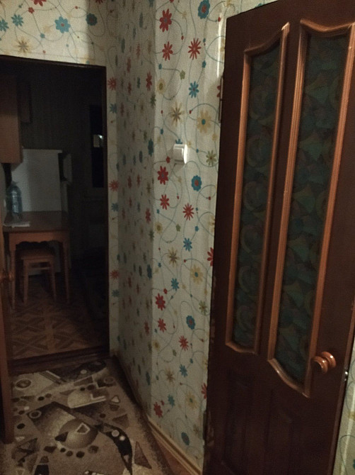 Продам 1-кімнатну квартиру Кам`янське (Нікопольський р-н) - зображення 4