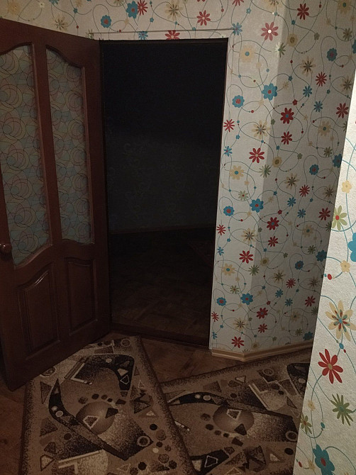 Продам 1-кімнатну квартиру Кам`янське (Нікопольський р-н) - зображення 5