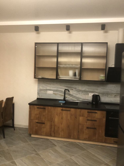 Сдам 1 ком кв ЖК Авторский Район с Фонтанка Фонтанка - изображение 5