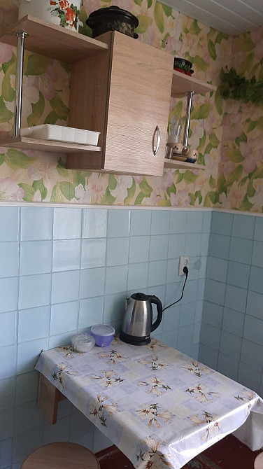 На довгий термін 1 кім кв Кам`янське (Нікопольський р-н) - зображення 6